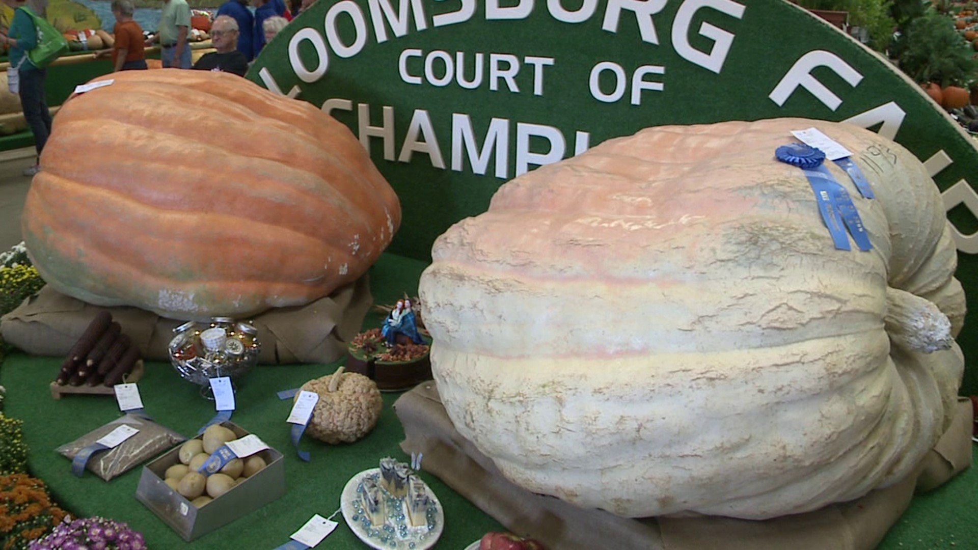 Mike Stevens takes us on a trip to 2016 at the Bloomsburg Fair for a fresh sight of vegetables.