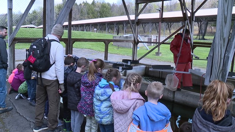 Students spend day at the fish hatchery in Wayne County