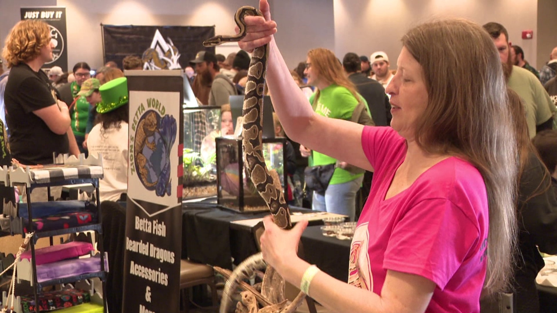 Different kinds of exotic animals were on display on Sunday at the Electric City Reptile Expo.