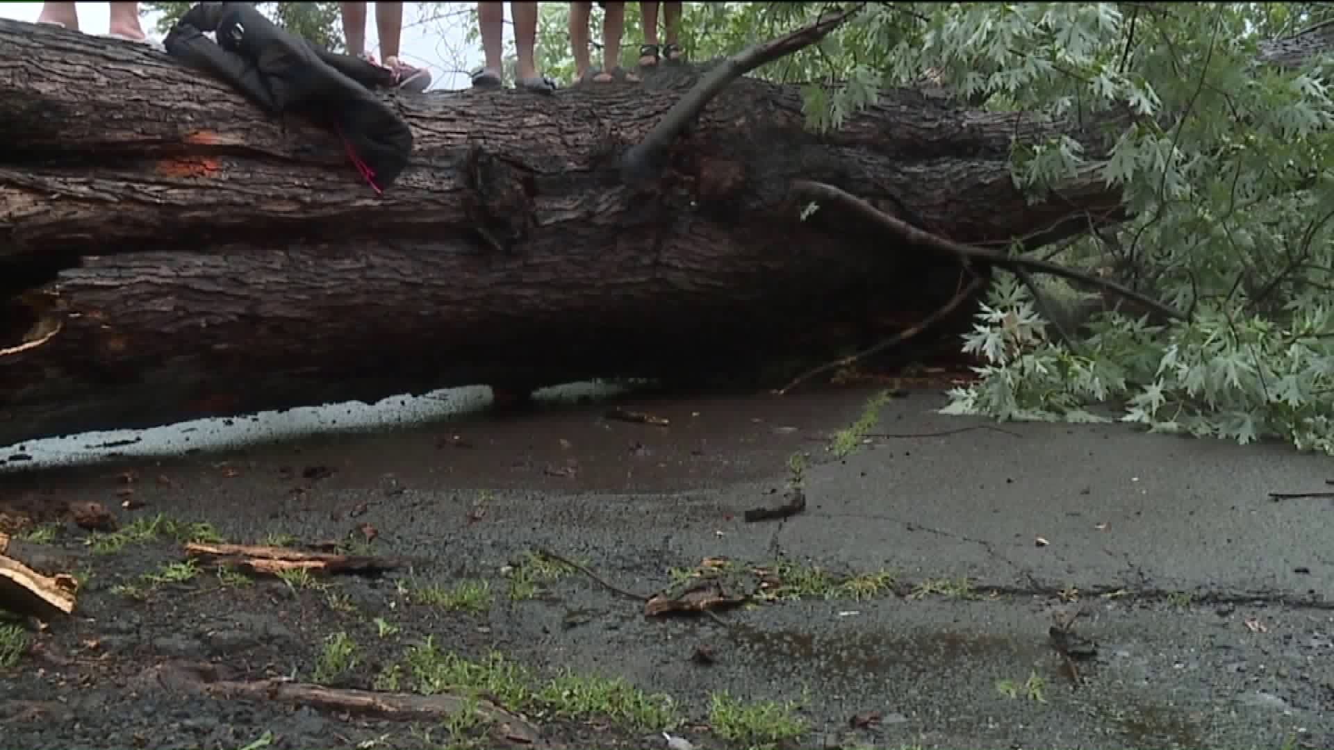 Severe Storms Rip Through Lackawanna County
