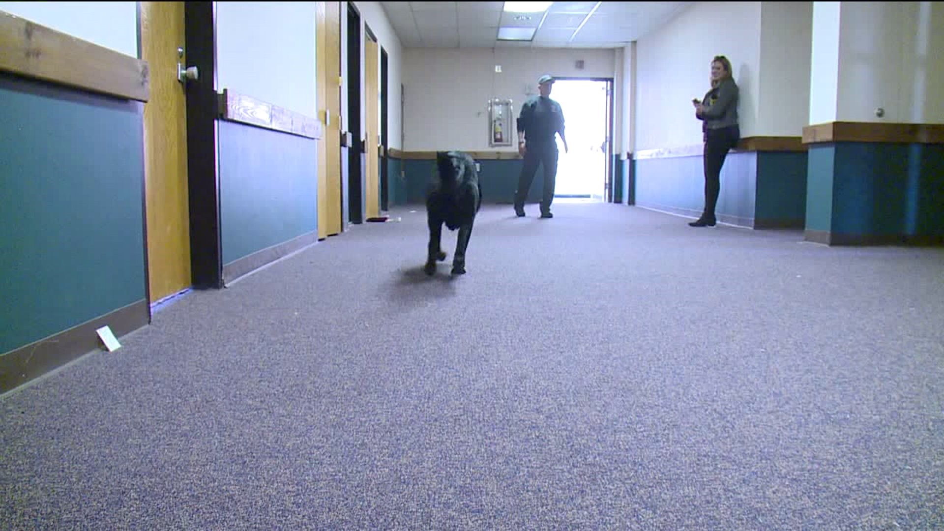 K-9 Officers in National Contest