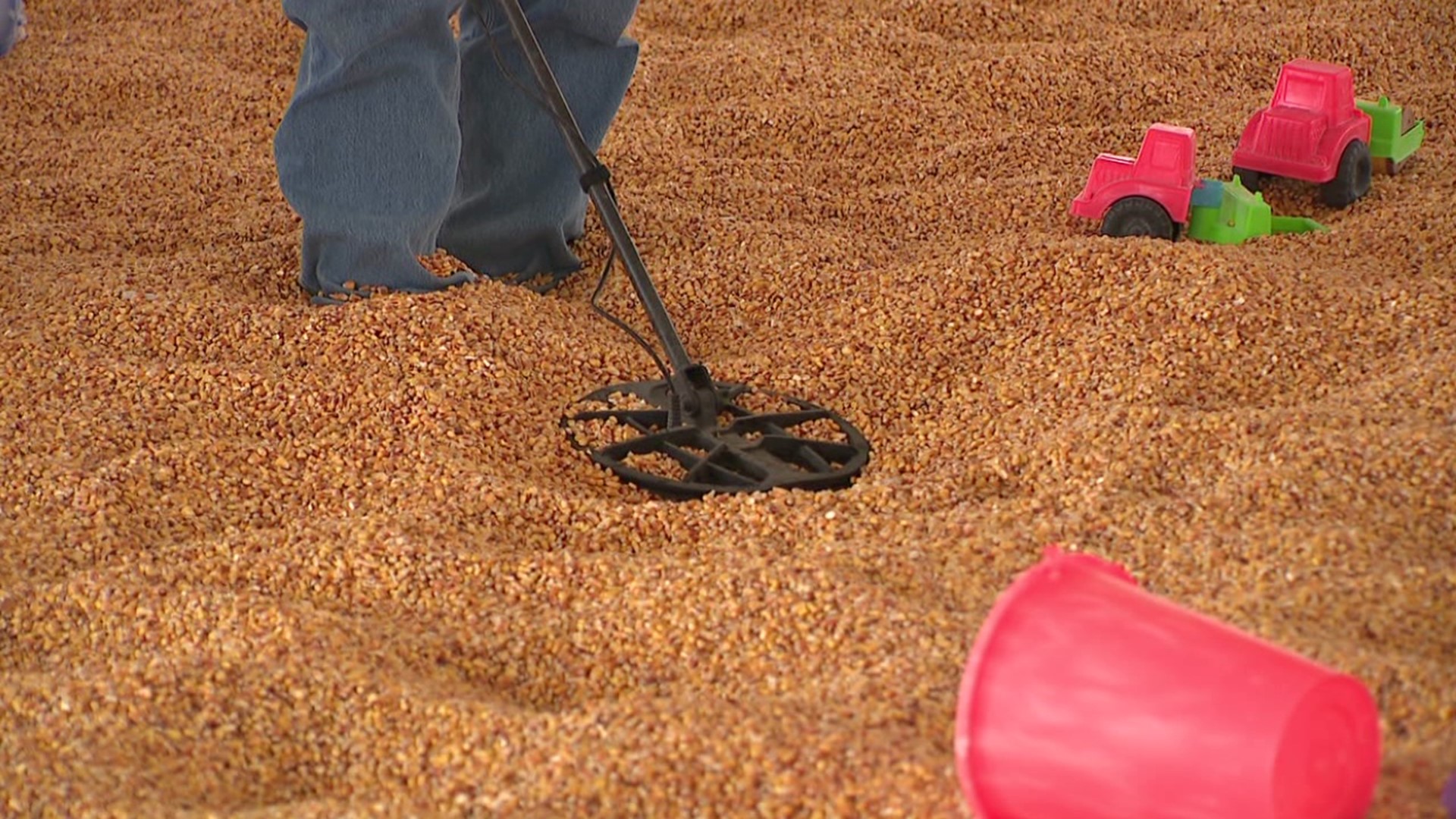 Lee Houser and his metal detector have been searching the corn pit at Lakeland Orchard and Cidery for a ring, but he's found much more in his search.
