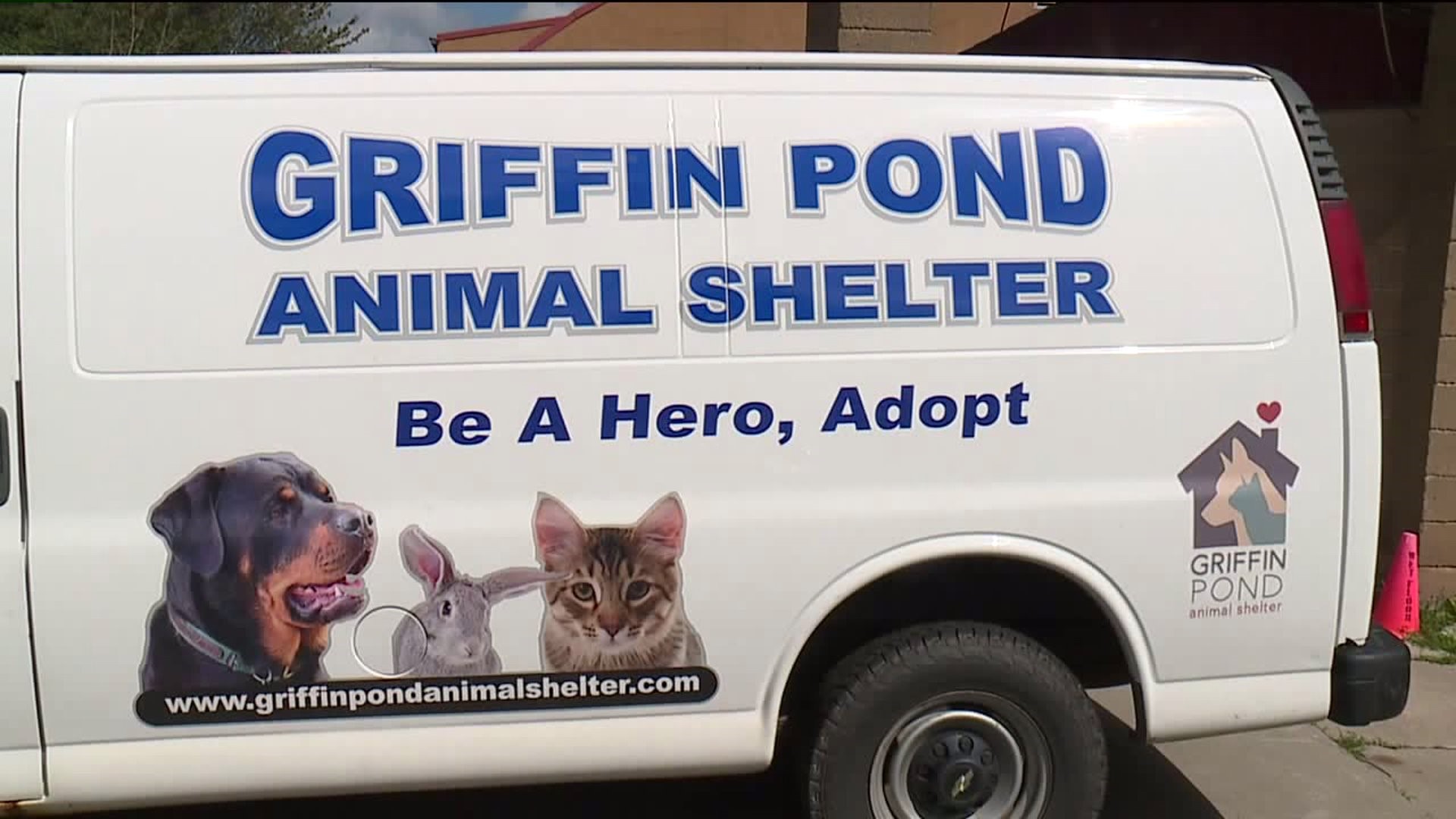 Former Griffin Pond Animal Shelter Bookkeeper Charged with Theft