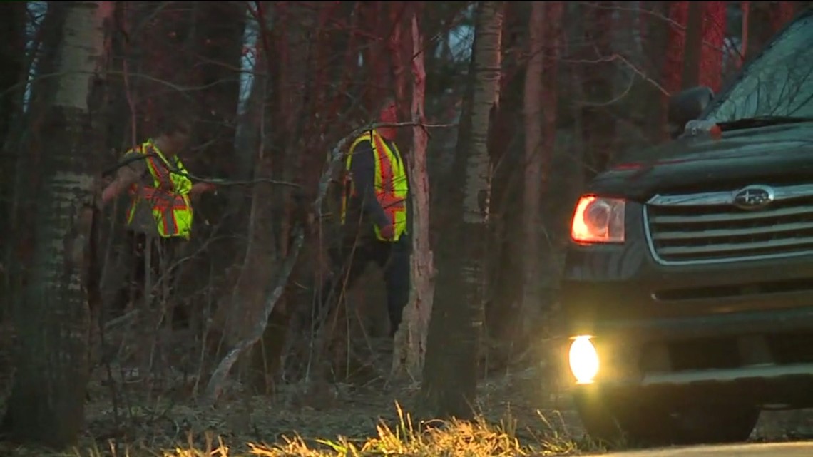 Human Remains, Pot-Growing Operation At Scene Of Wayne County Murder ...