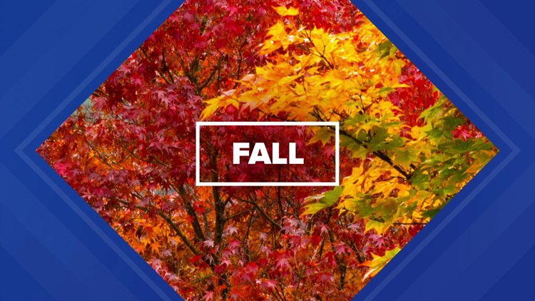 When and where to spot the best fall foliage in Pennsylvania