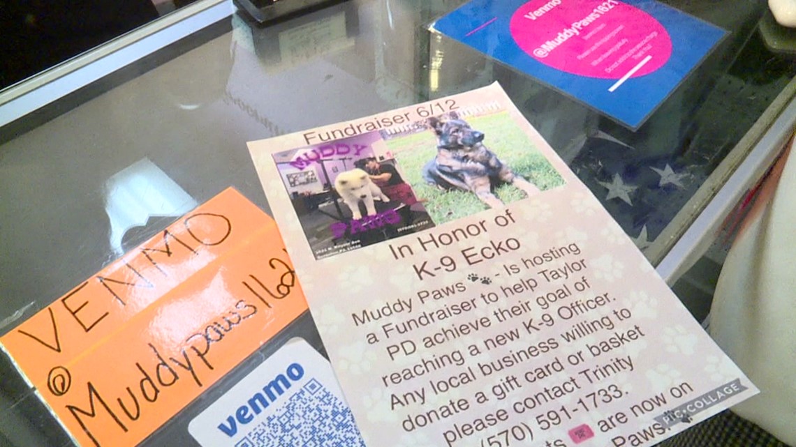 Fundraising for a furry partner in crime-fighting - Vimarsana News
