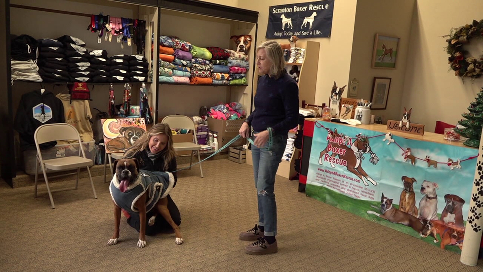 Adopt A Boxer Rescue is not only marking 20 years of saving animals' lives but, as Newswatch 16's Kerry Kearns reports, it also has a new place to call home.