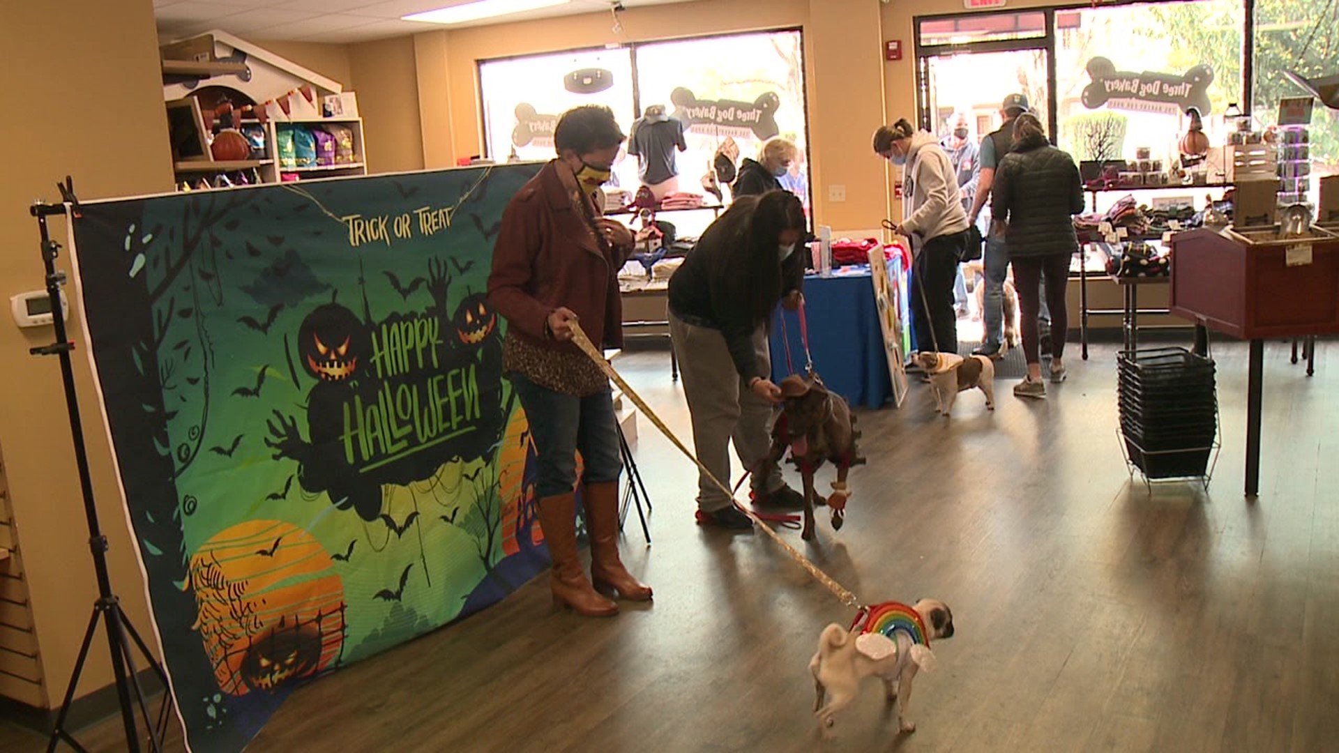 Three Dog Bakery hosted the fundraiser to help raise money for Blue Chip Farm Animal Refuge.