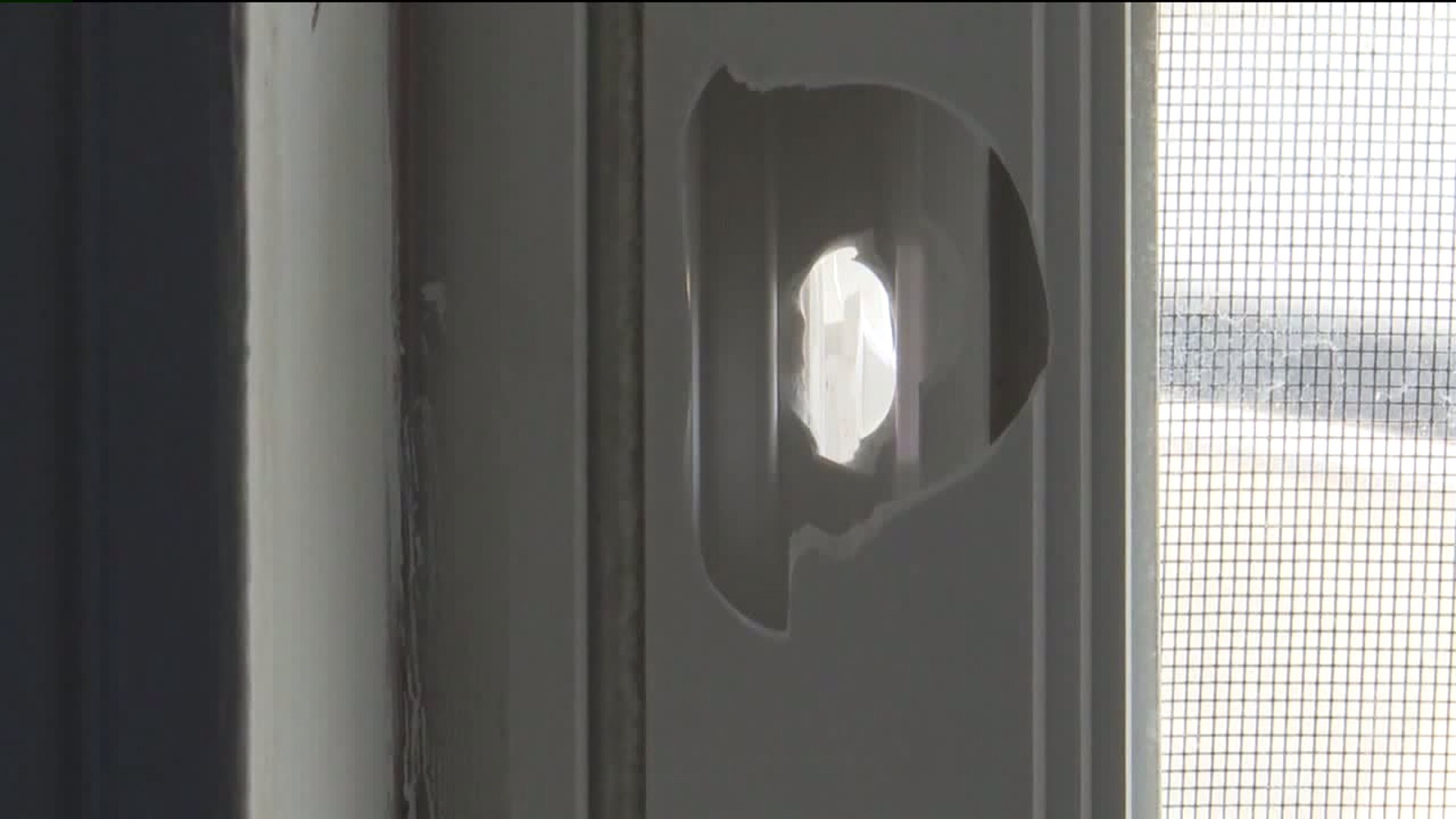 Police: Man Surrenders After Accidentally Firing Stray Bullet Into Home
