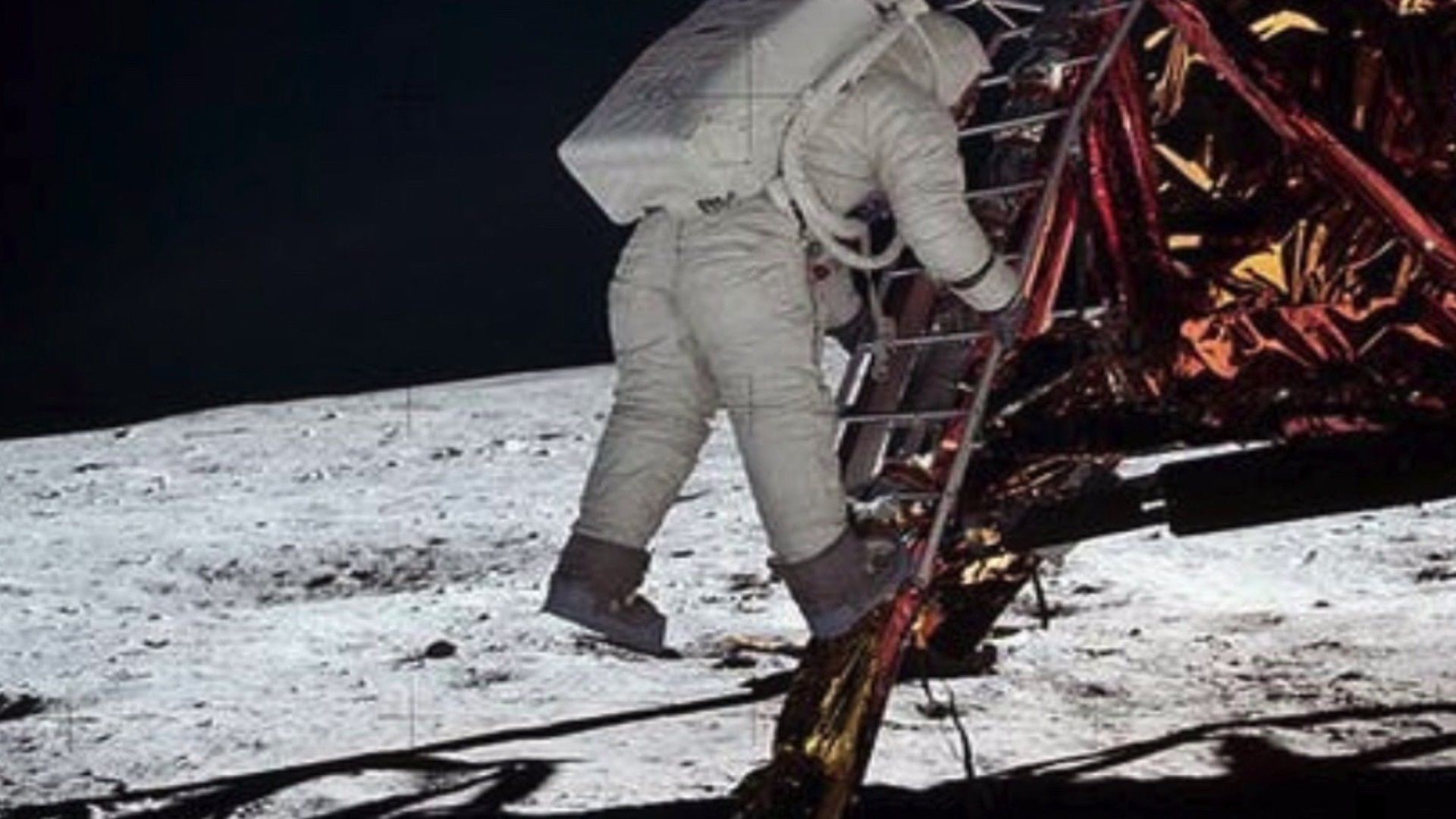 Wham Cam: How Big Was the One Small Step for Man?