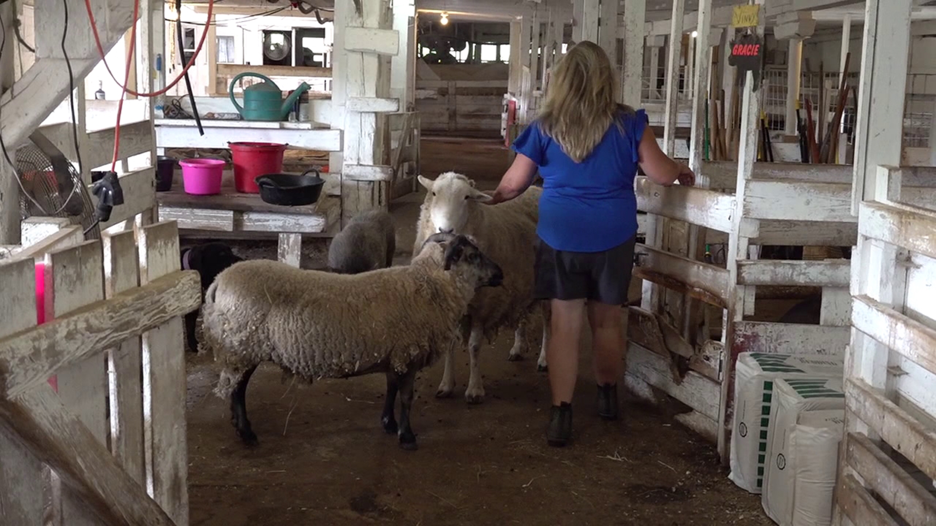 A community in Wayne County is honoring the owner of an animal rescue who passed away.