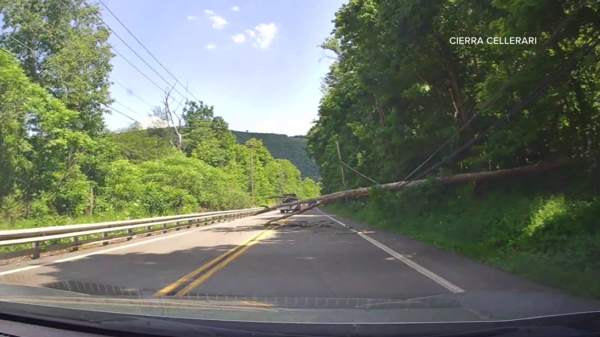 A video shows a close call of a tree falling on a road in Exeter Township along Route 92 on Wednesday.