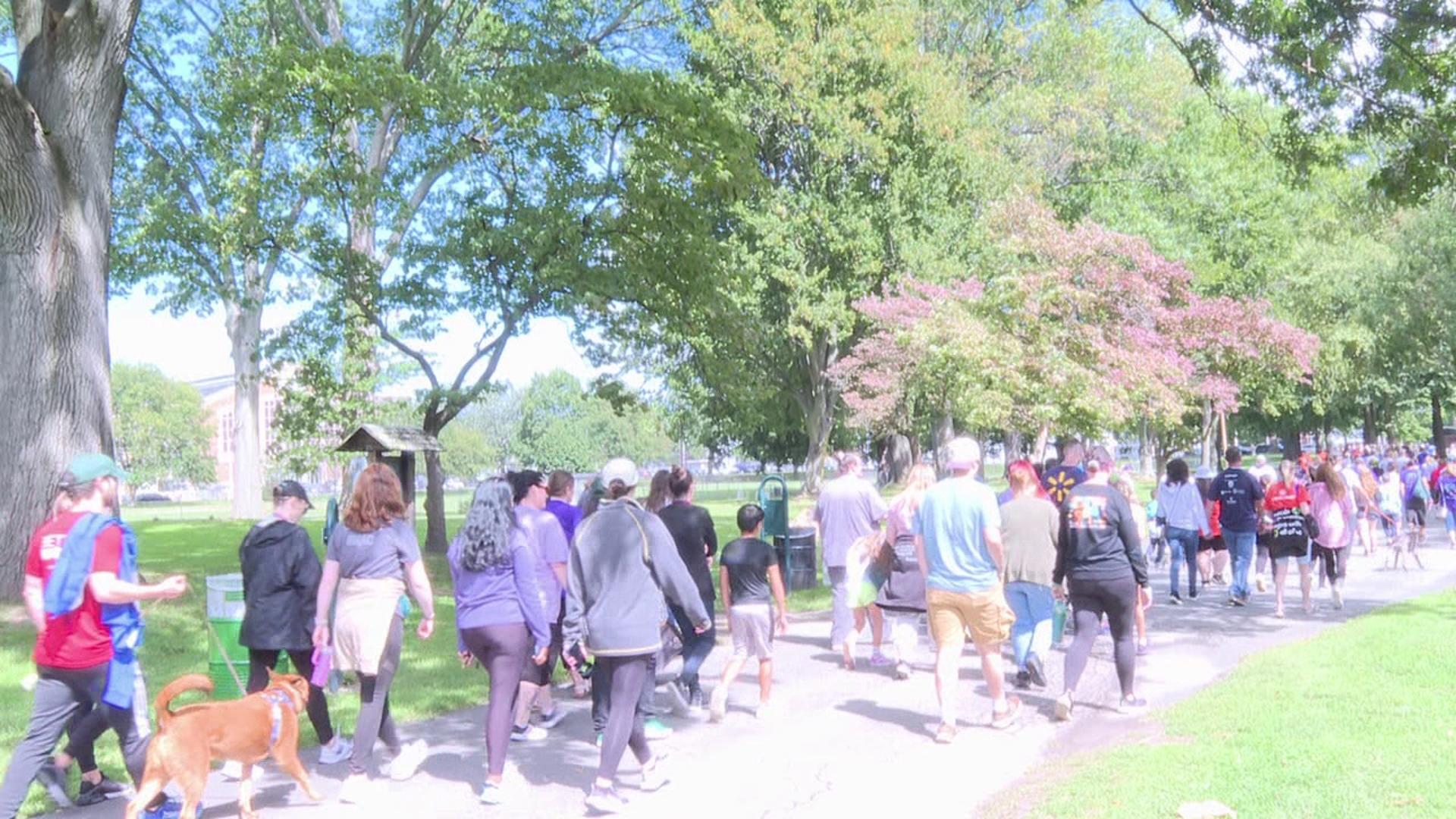 Hundreds took part in the 2-mile walk held at Kirby Park in Wilkes-Barre on Sunday.