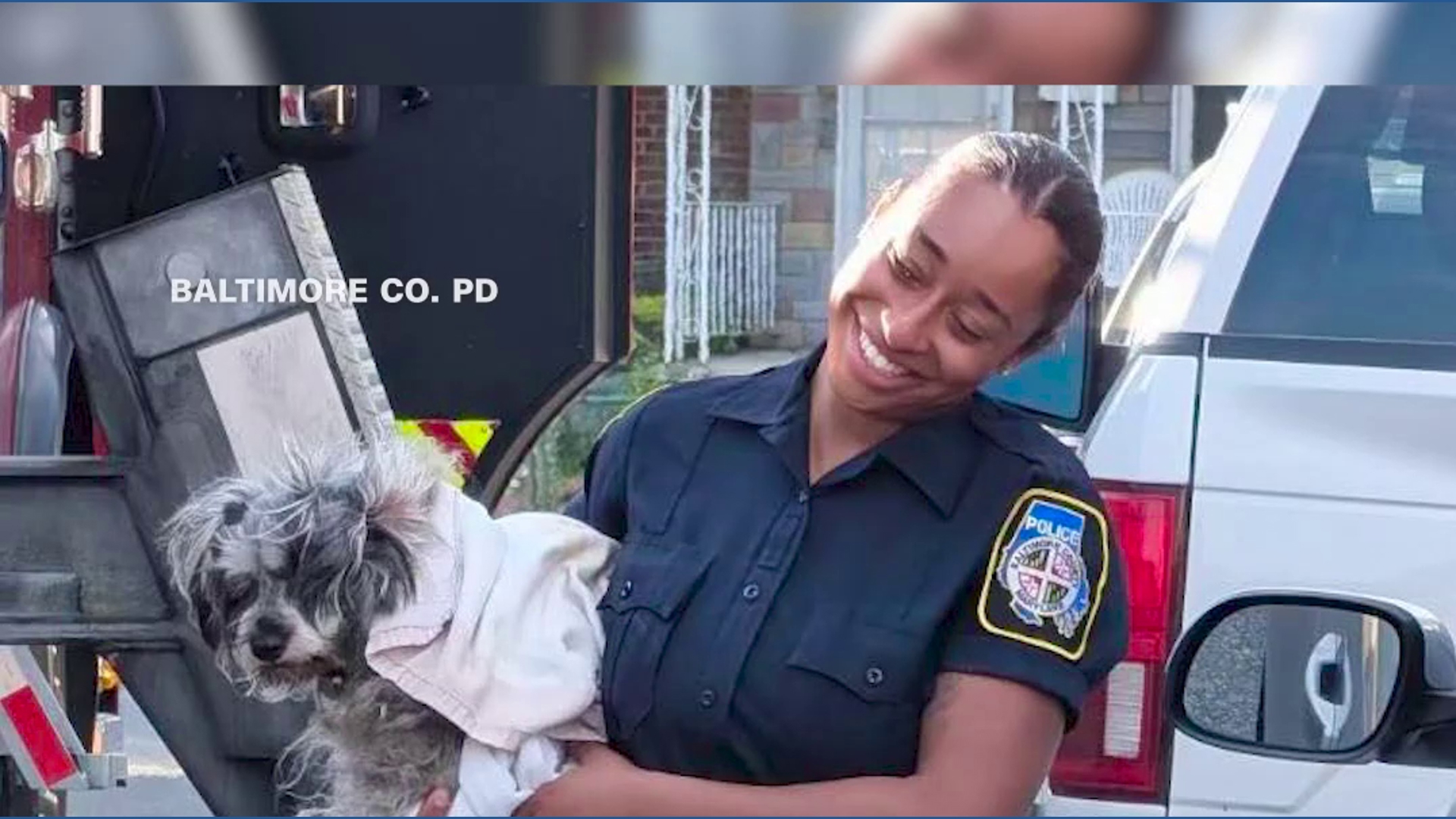 Stranded dog rescued from rooftop in Baltimore | wnep.com