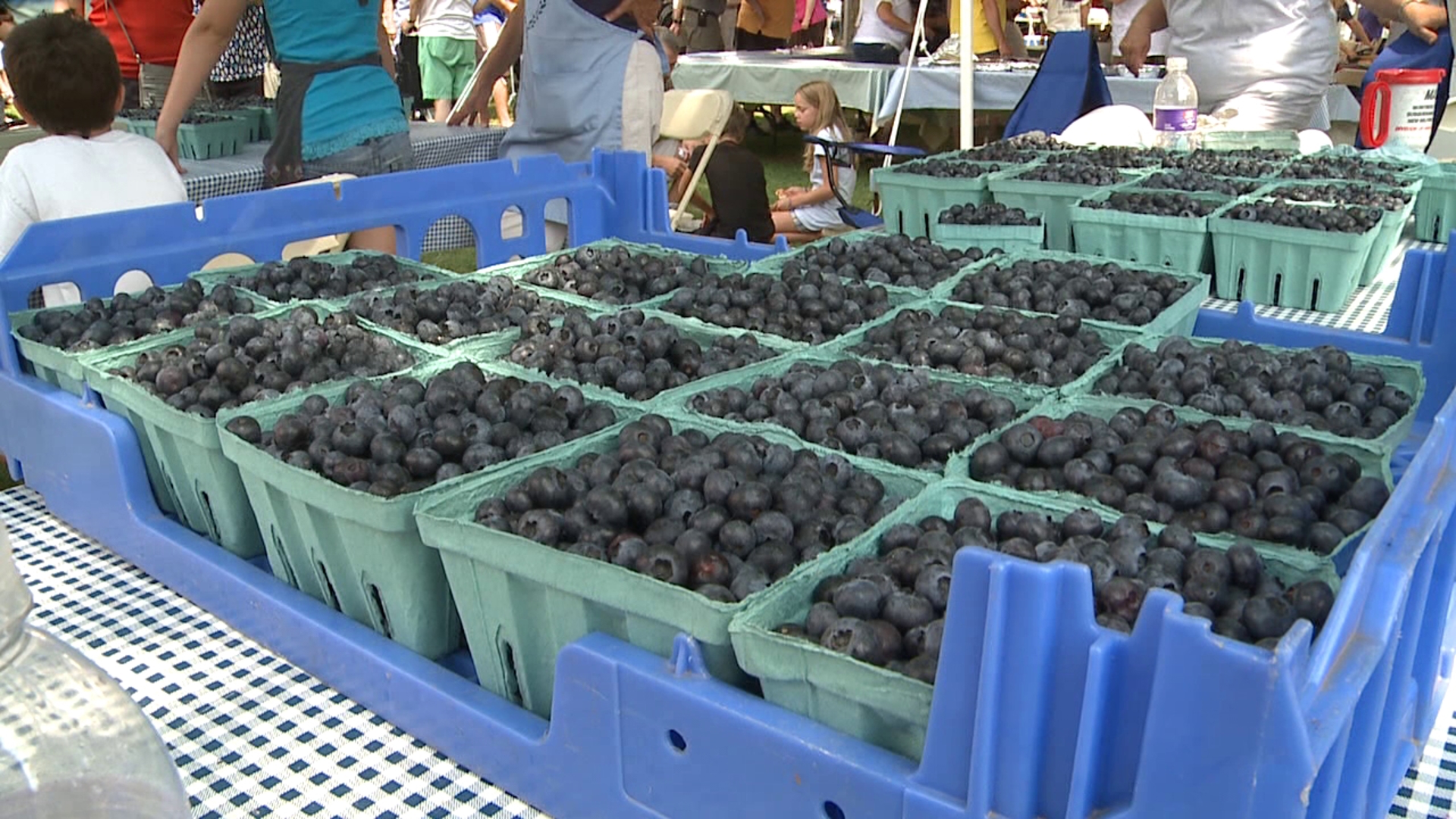 45th annual Blueberry Festival brings 5K, food, and family fun to Montrose