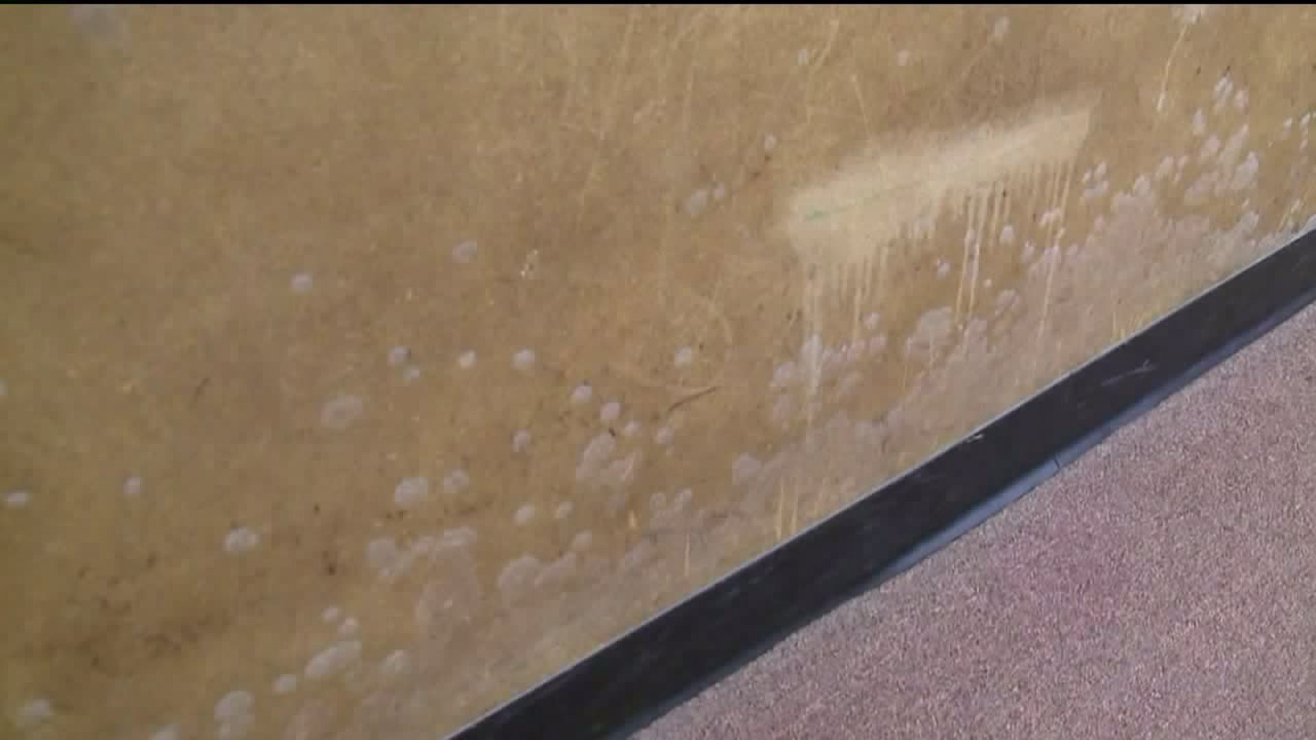 What Happens When Exposed to Mold?