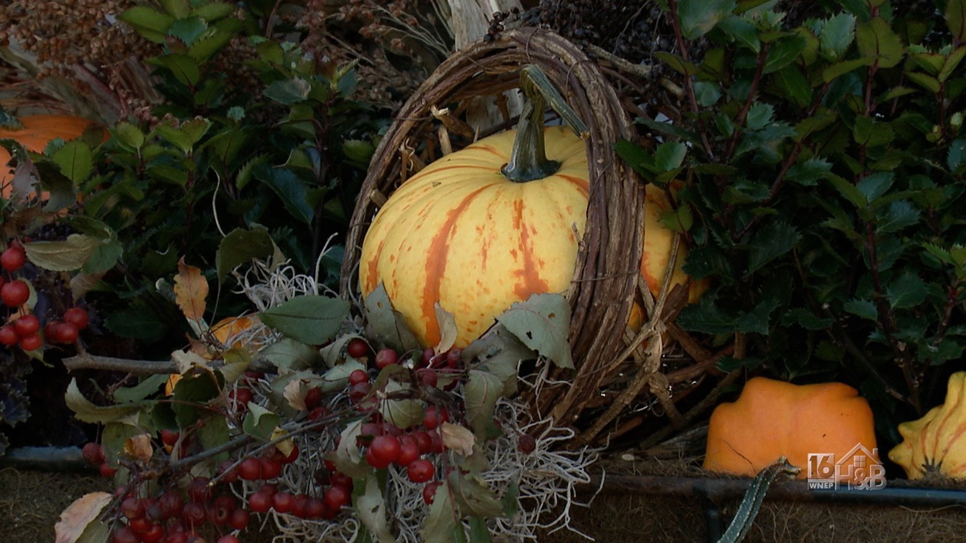 DIY Bountiful Thanksgiving Window Box