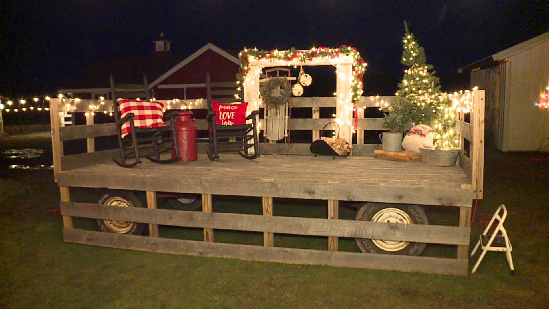 For one family in Wayne County, putting up their own Christmas tree wasn't enough. Instead, they transformed their backyard into a Christmas tree farm.