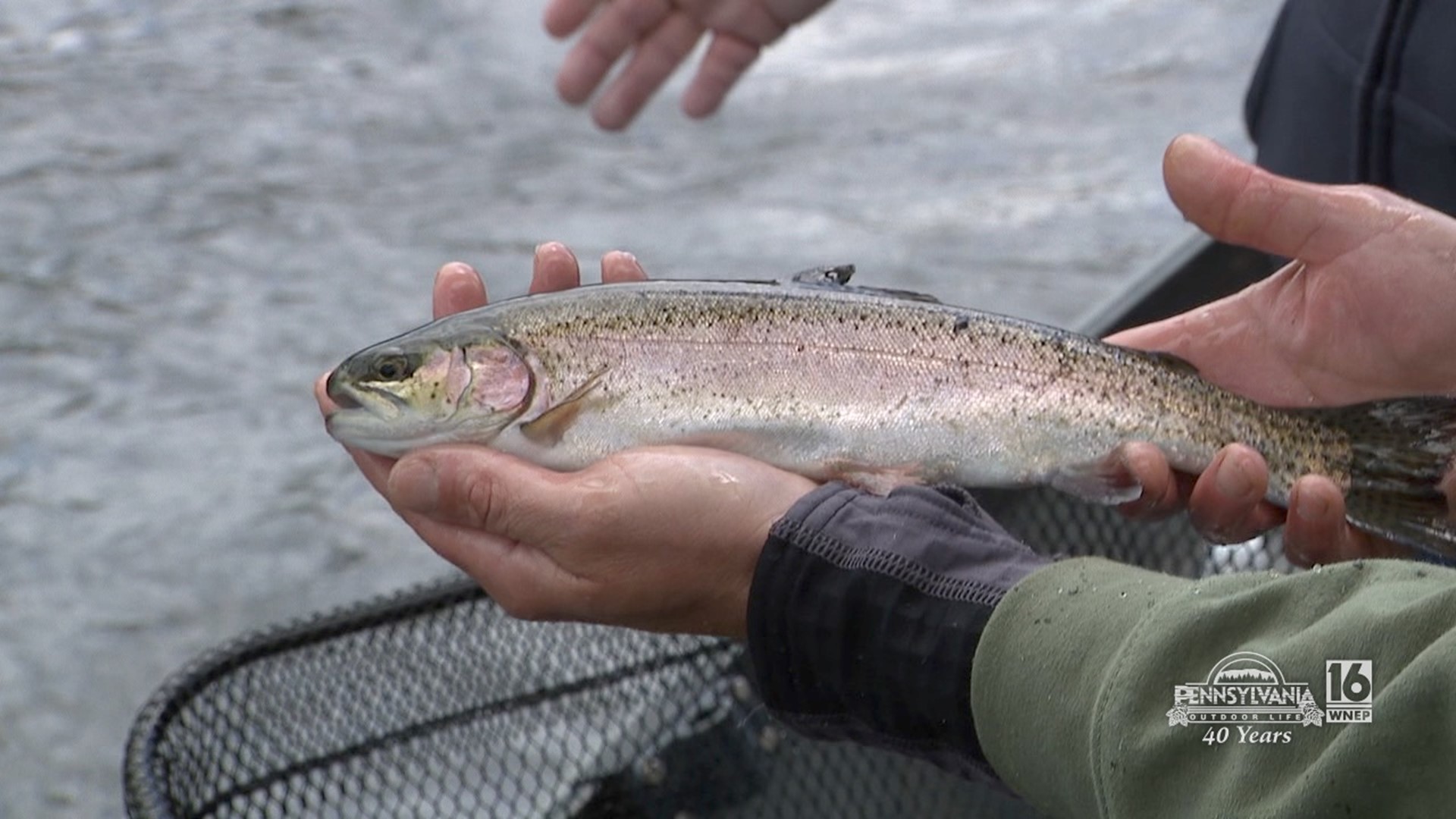 Fishing the Lehigh River with Gravy Boat Guide Service | wnep.com