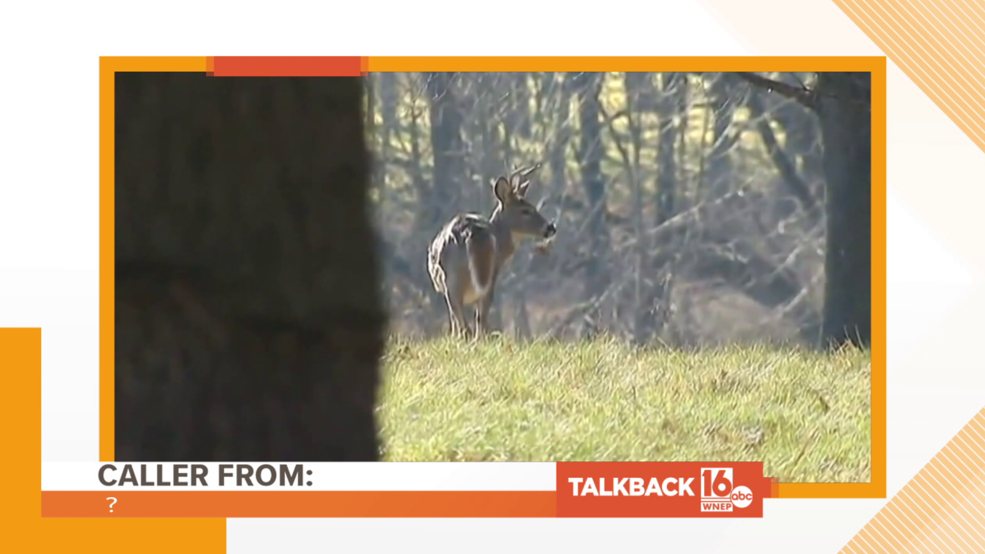 Callers had a lot to say about the PA Game Commission's changes to the upcoming deer season.