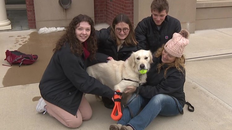 Retriever rehab: Students build leg for Doug the golden retriever