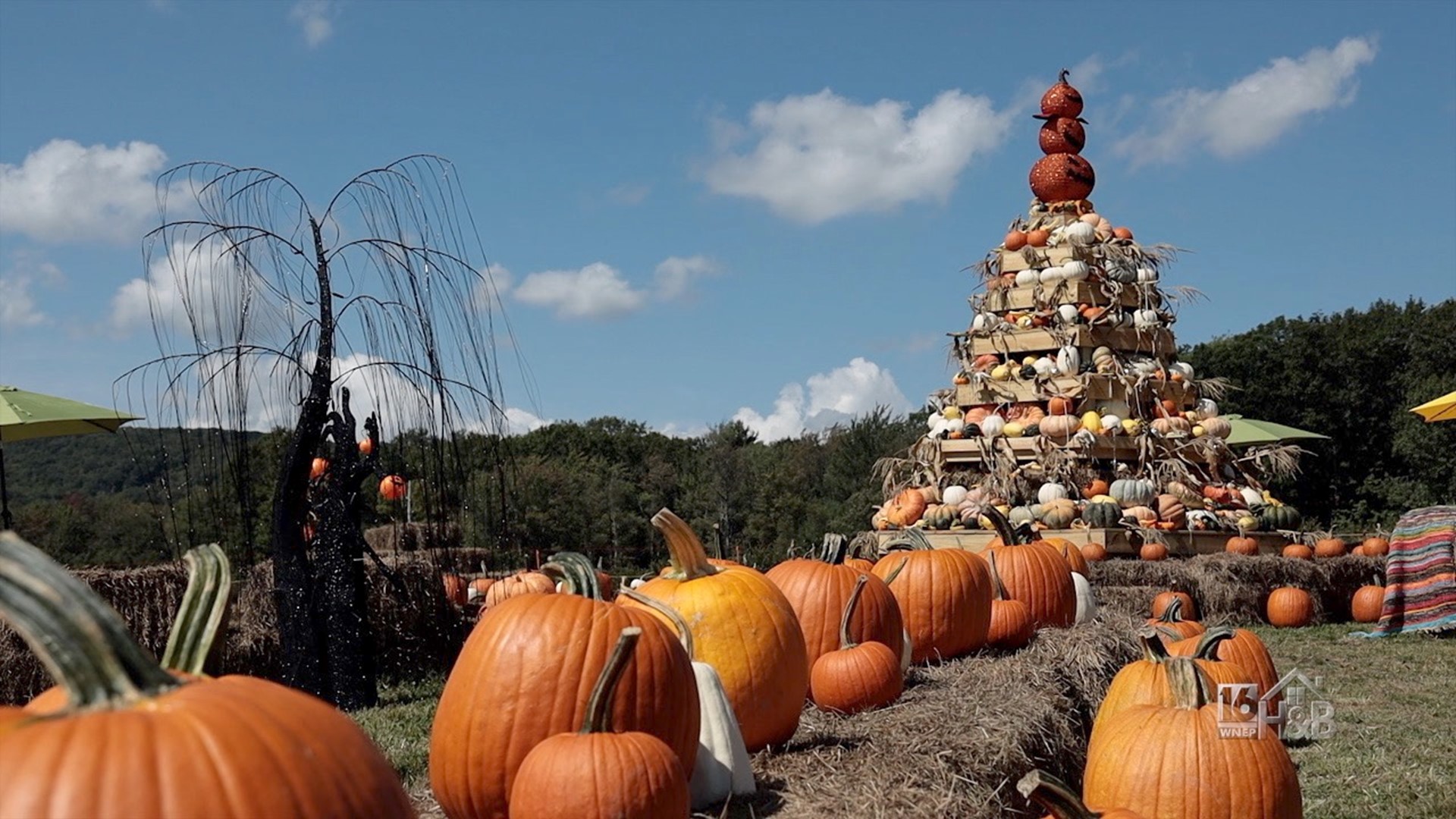 A Visit To Ritter's Winery and Cidery To Cook Up Some Hardy Chili And Visit Their Magical Pumpkin Garden