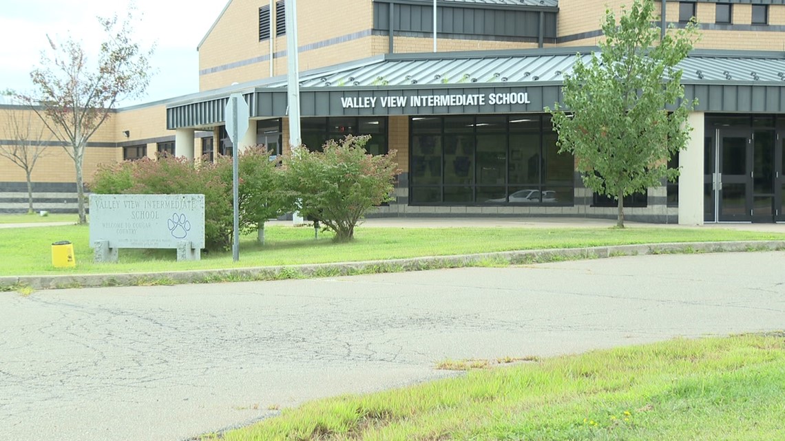 Valley View school district having some online tech issues