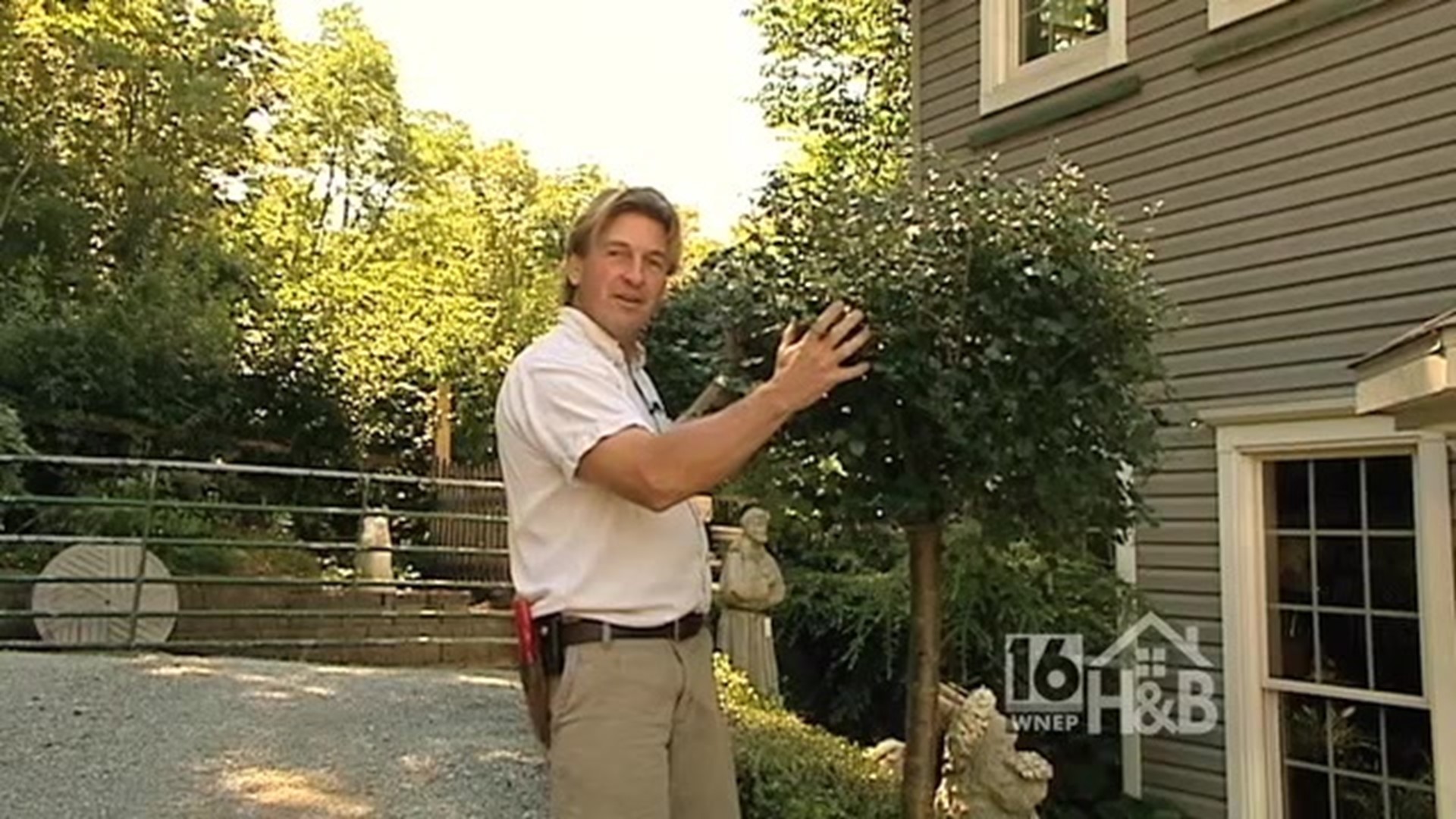 Summertime Plant Pruning 101