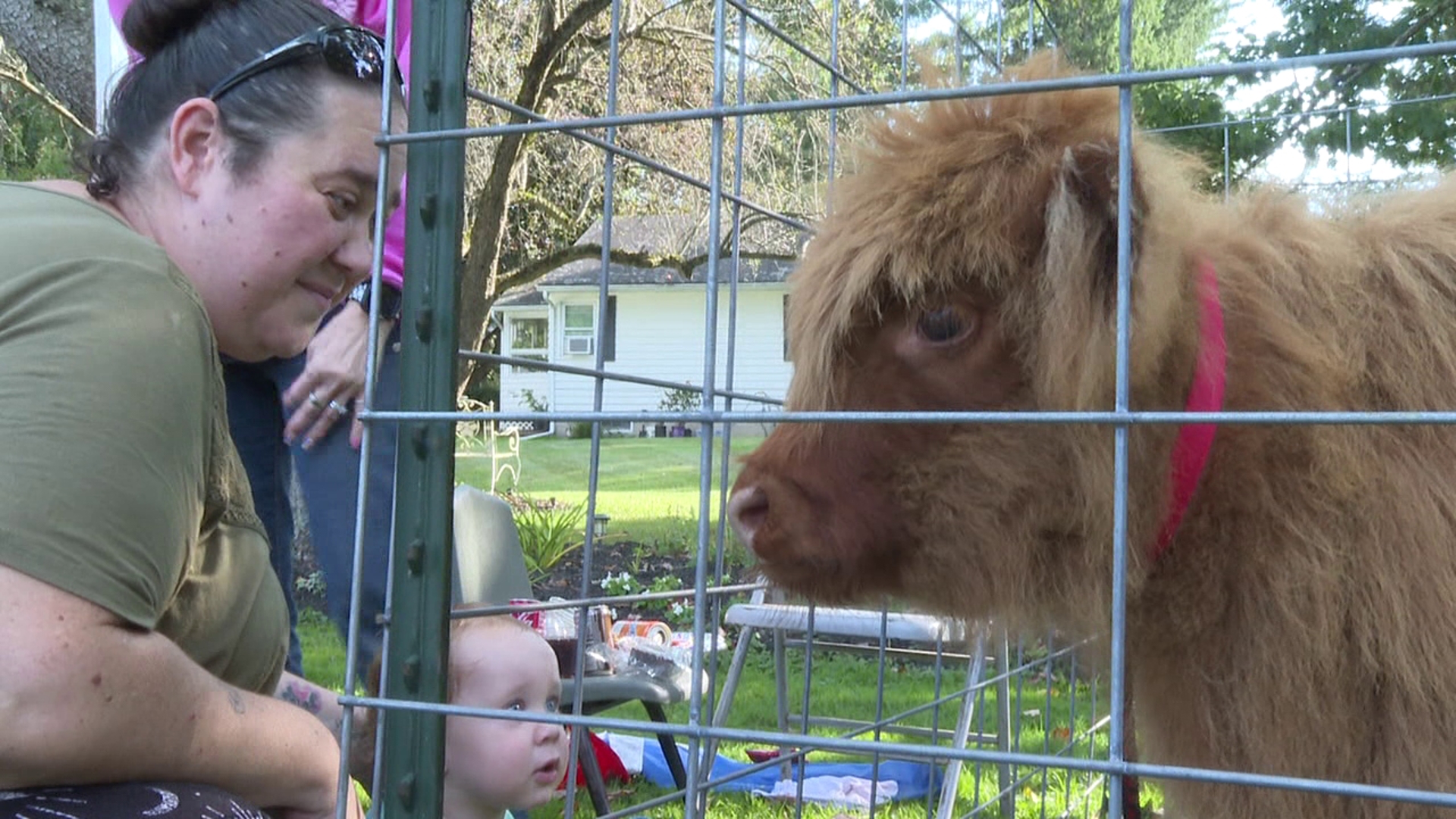 The 5th annual Farmer's Appreciation Day event was held at the Waymart Historical Museum in Waymart on Saturday.