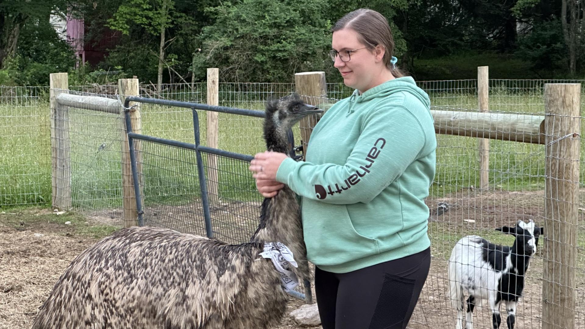 Take some time and try out Emu Yoga at Buttinhead Farm in Luzerne County.