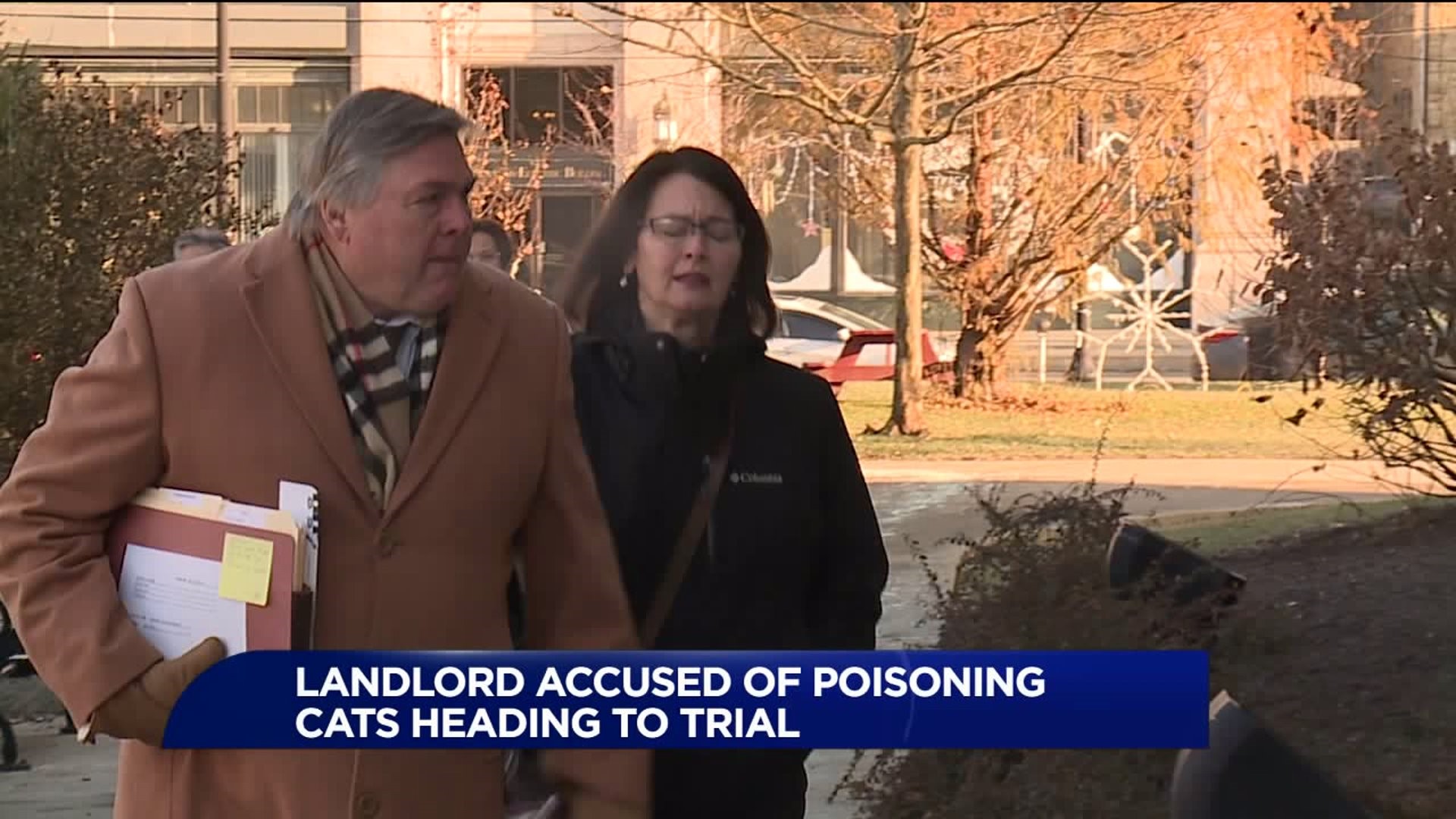 Woman Accused of Poisoning Cats Headed to Trial
