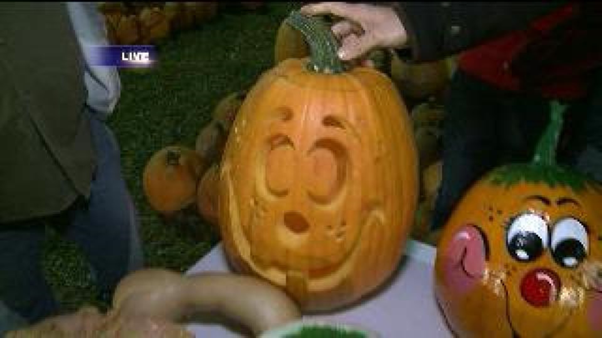 Activities for Autumn: Pumpkin Carving Tips