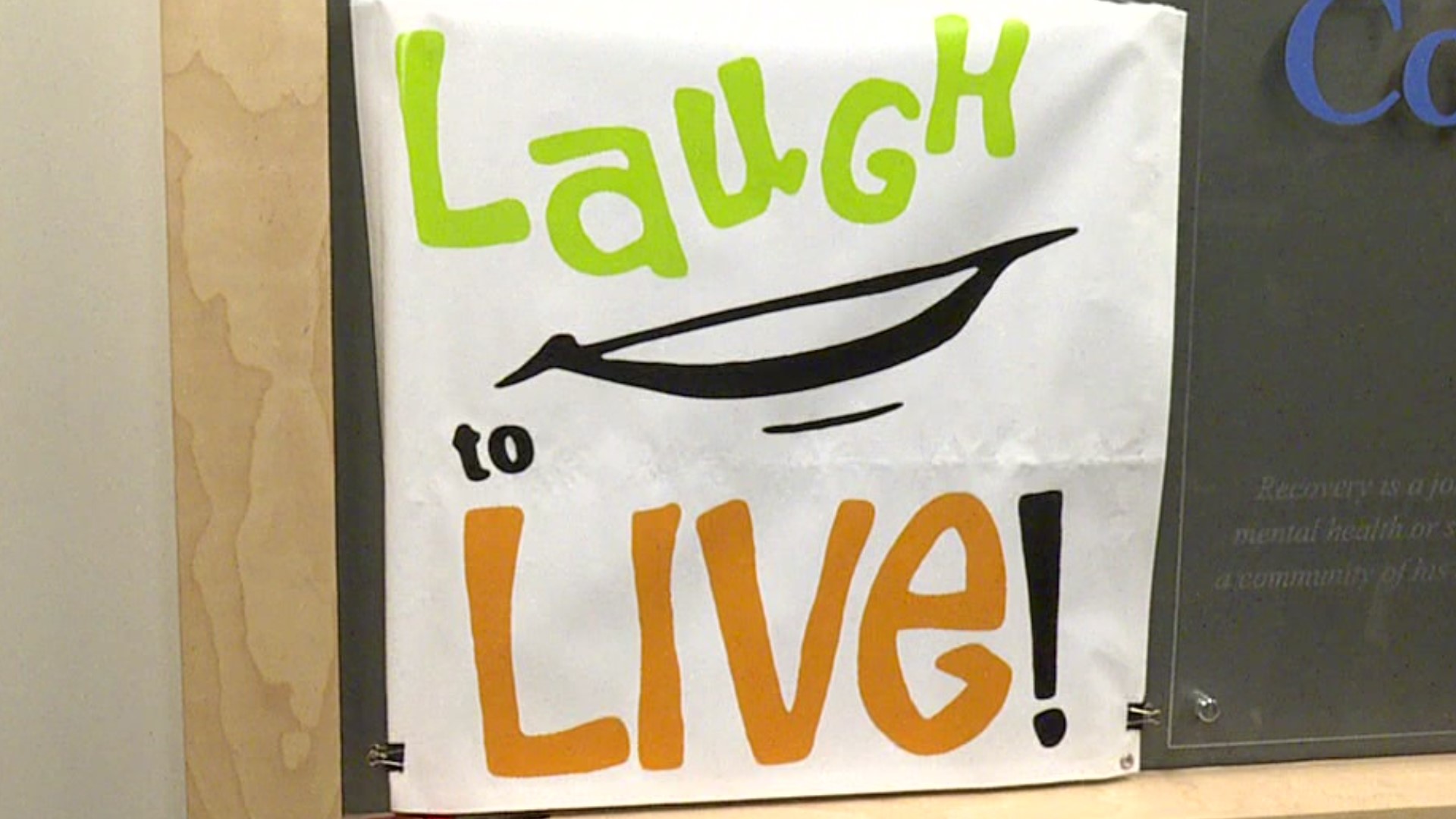 They say laughter is the best medicine. That's the theory behind a comedy show fundraiser for a national mental health awareness organization.