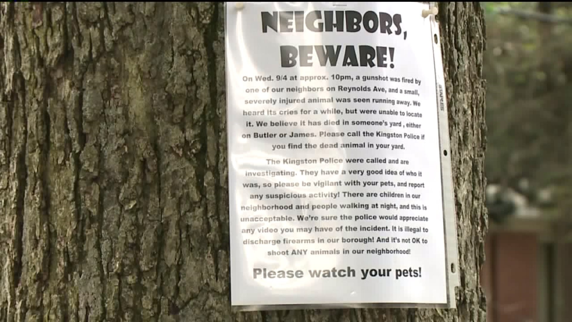 'Neighbors, beware!' - Posters Warn Kingston Residents of Animal Shooter