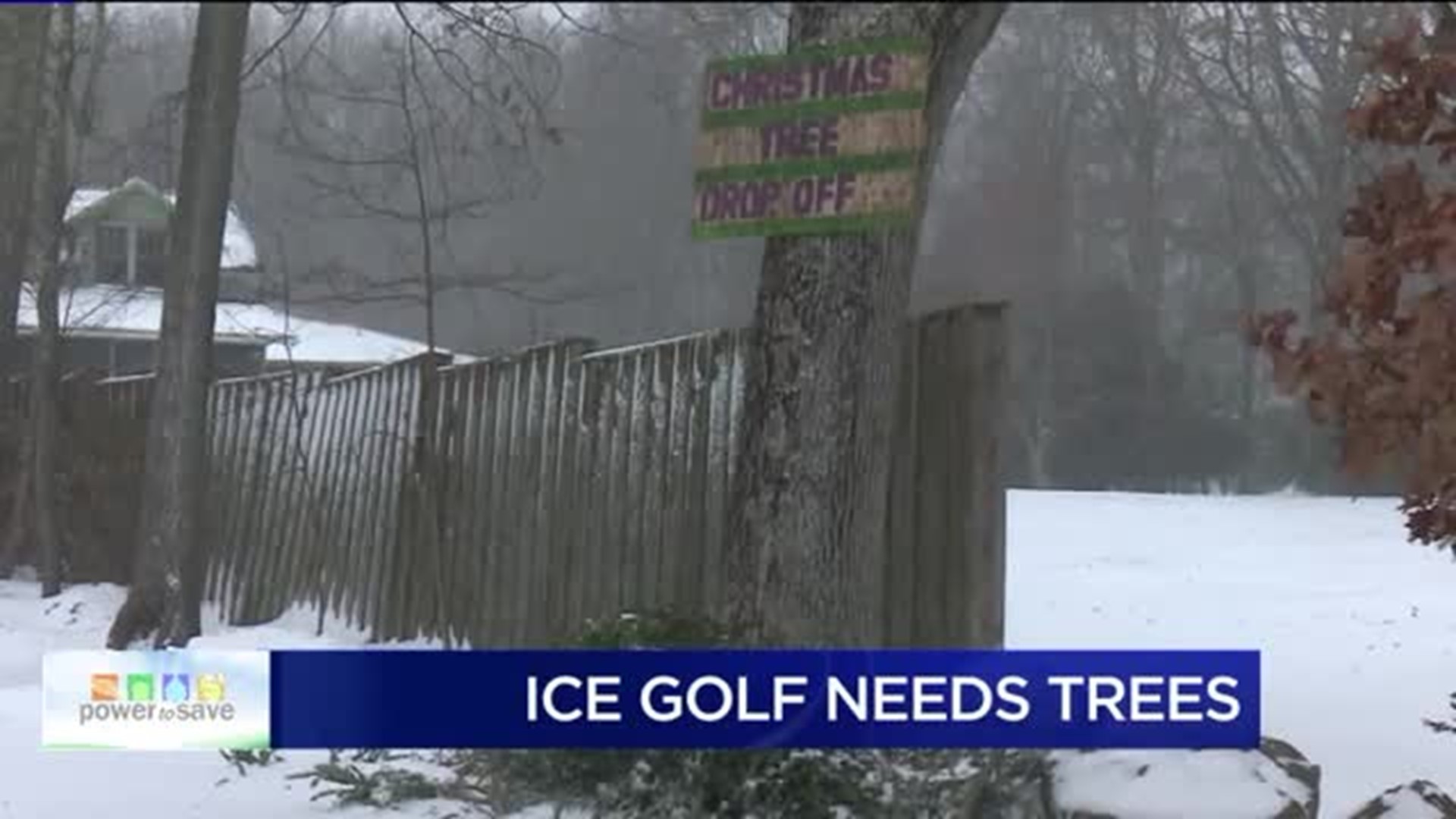 Power To Save: Ice Tee Golf Tournament Wants Recycled Christmas Trees