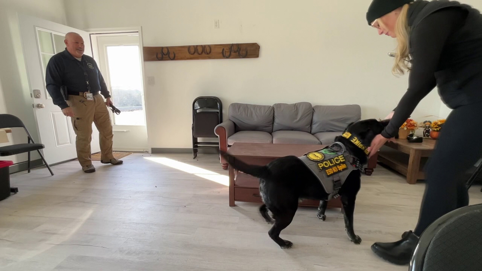 Chelsea checks out the everyday training of an ESD Detection dog.