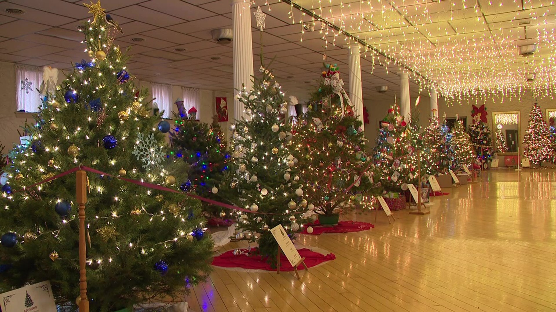 Nearly 100 Christmas trees are on display through this weekend as part of Bloomsburg's TreeFest.