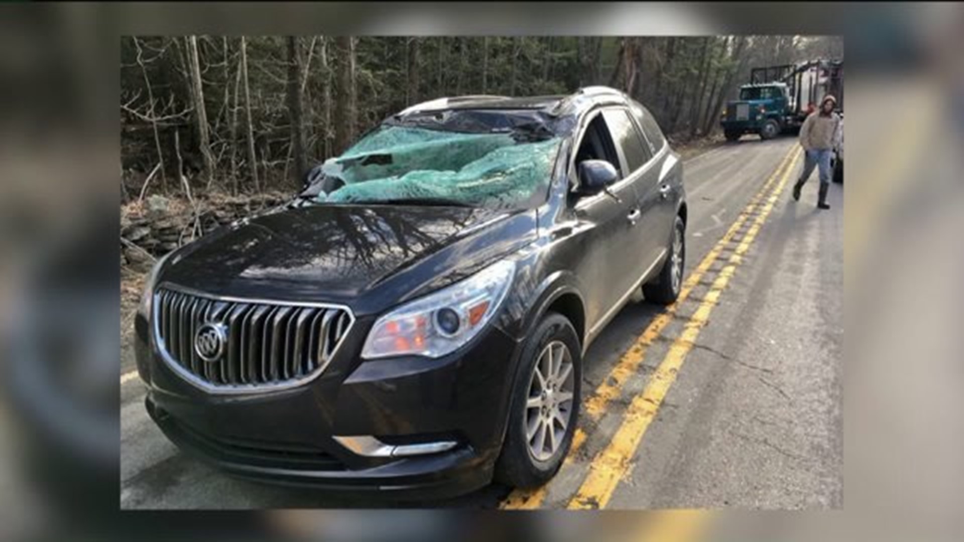 Tree Falls on Family during Morning Commute