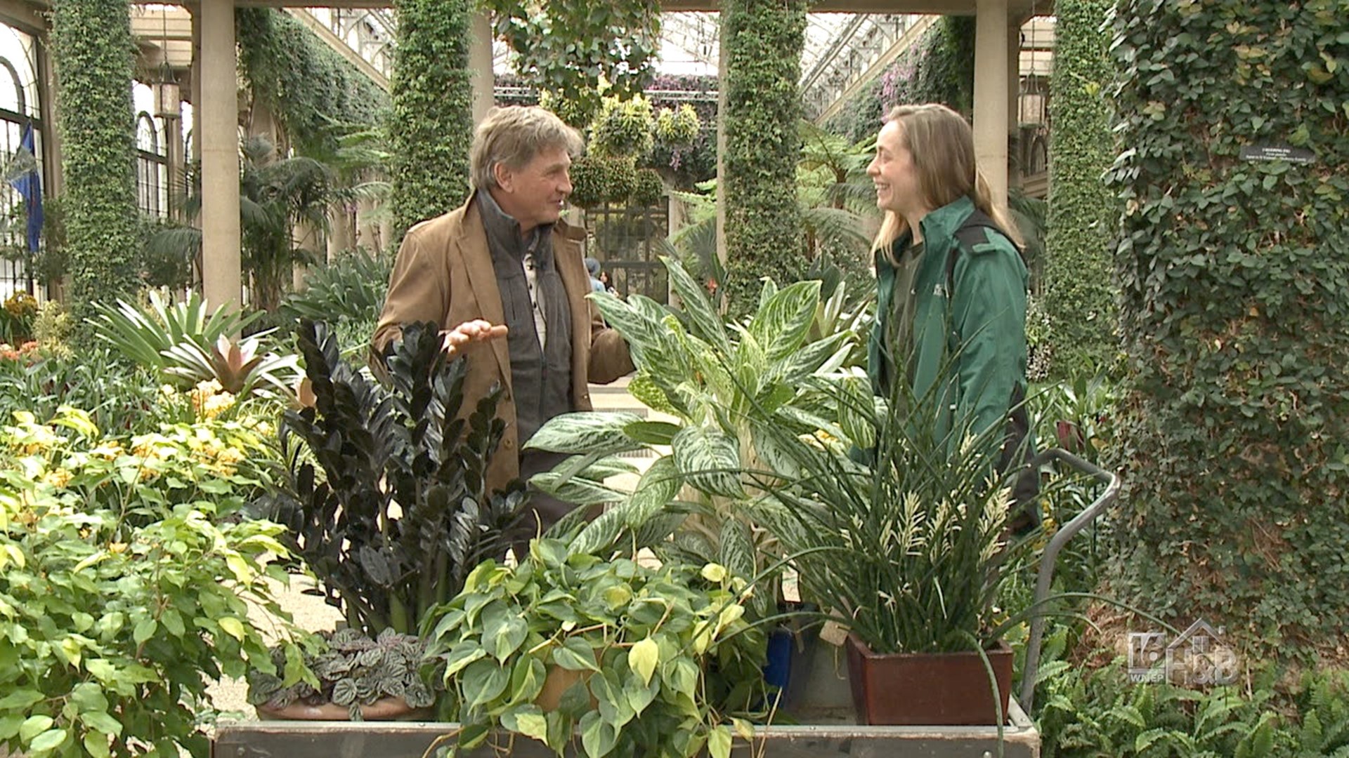 House Plant Tips From Longwood Gardens