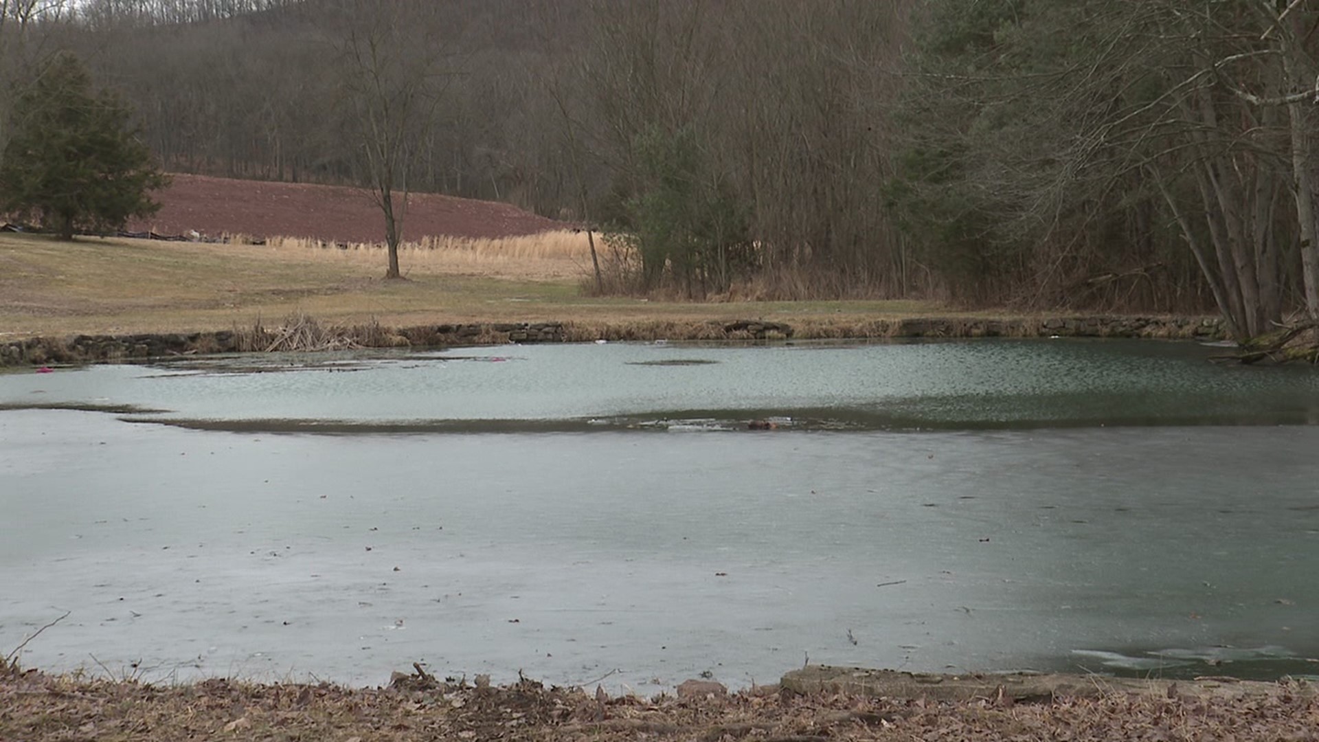 Two young boys fell into a pond near Orwigsburg on Wednesday. One boy did not survive.