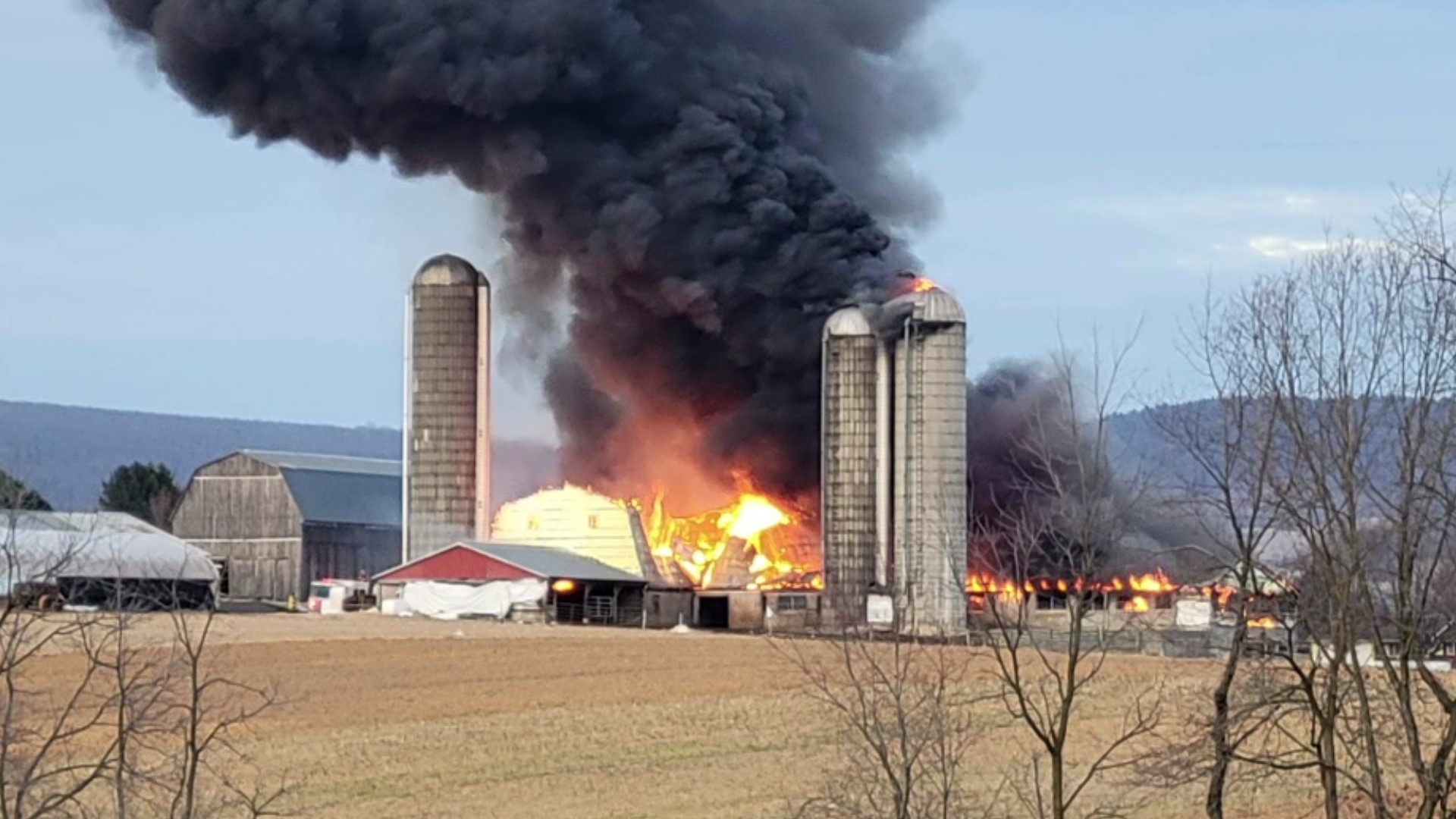 Firefighters from both Lycoming and Clinton Counties were called to the barn in Limestone Township.
