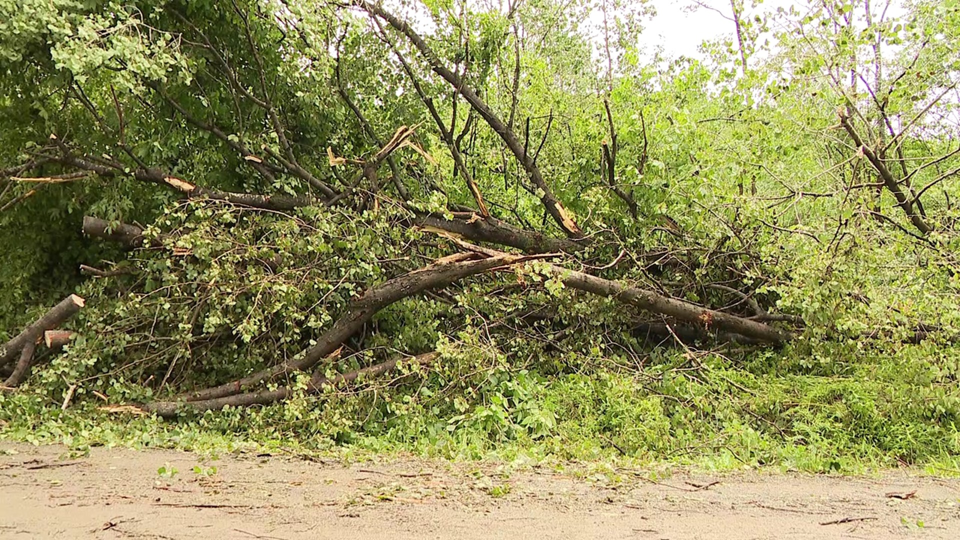 Investigators with the National Weather Service made the determination after surveying the area on Tuesday morning.