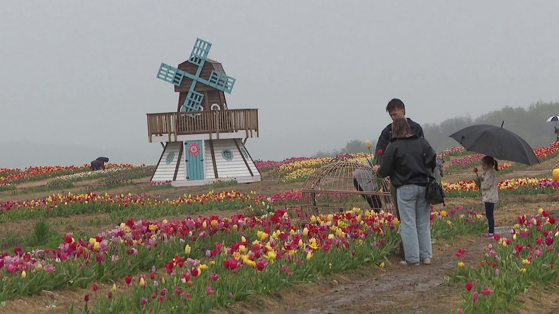 Families flock to Brown Hill Farms' Mother's Day festival | wnep.com