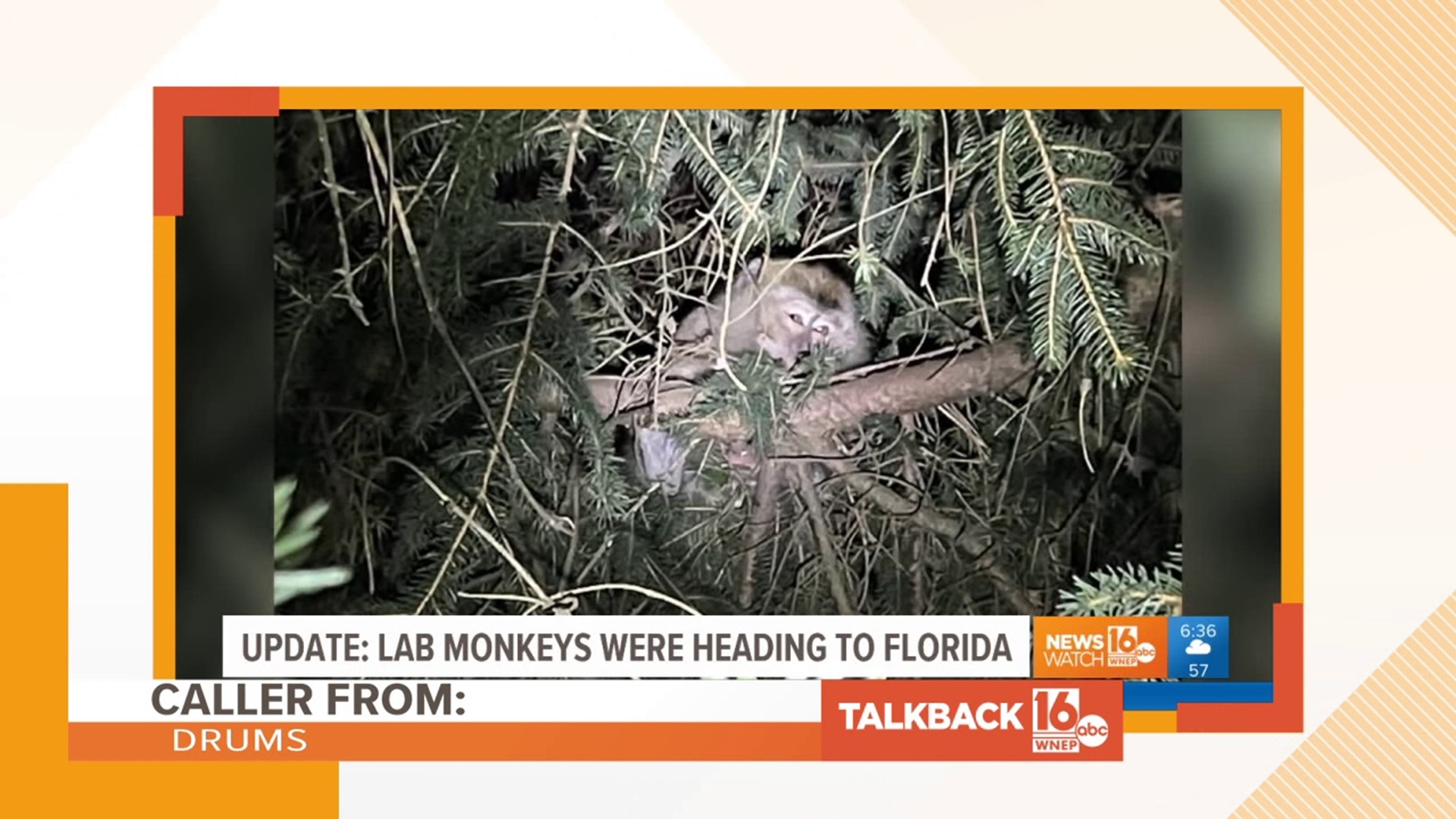 Callers are commenting on some new information regarding the monkeys in Danville earlier this year.