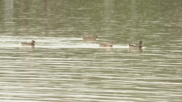 More rainfall in soaked Schuylkill County