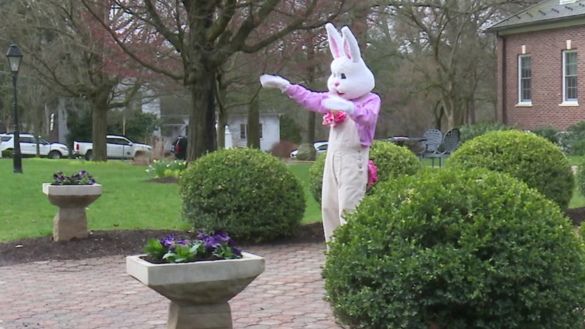 Drive-by Easter bunny