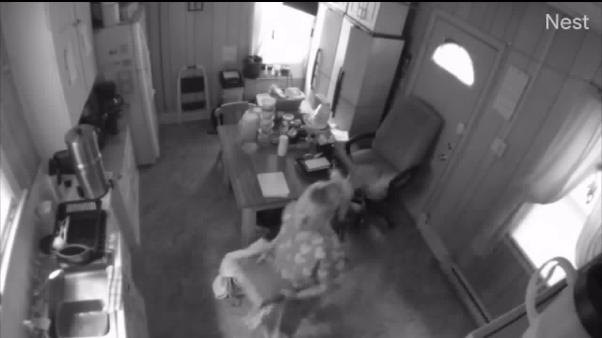 Home Health Aide Suspected of Theft Caught on Camera