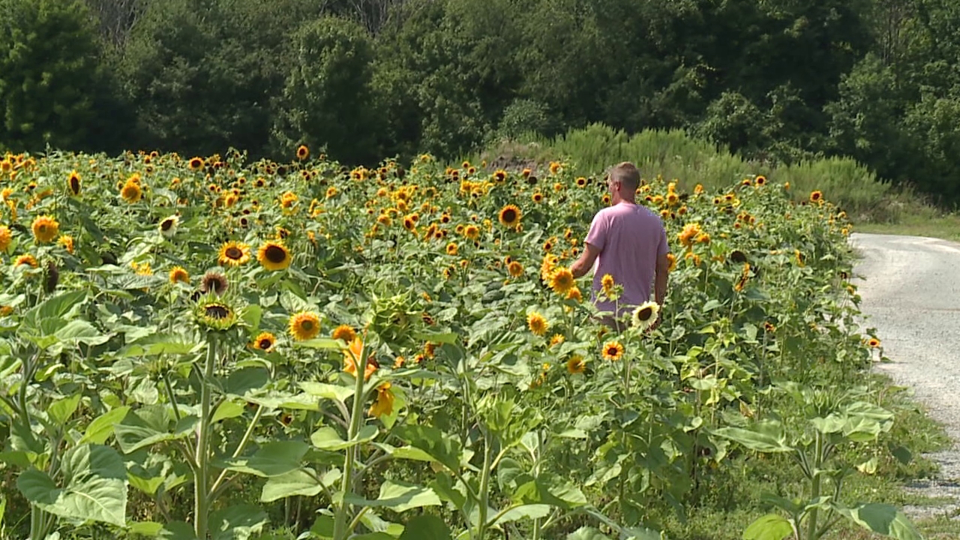 Newswatch 16's Jon Meyer takes us to Lakeland Orchard and Cidery.