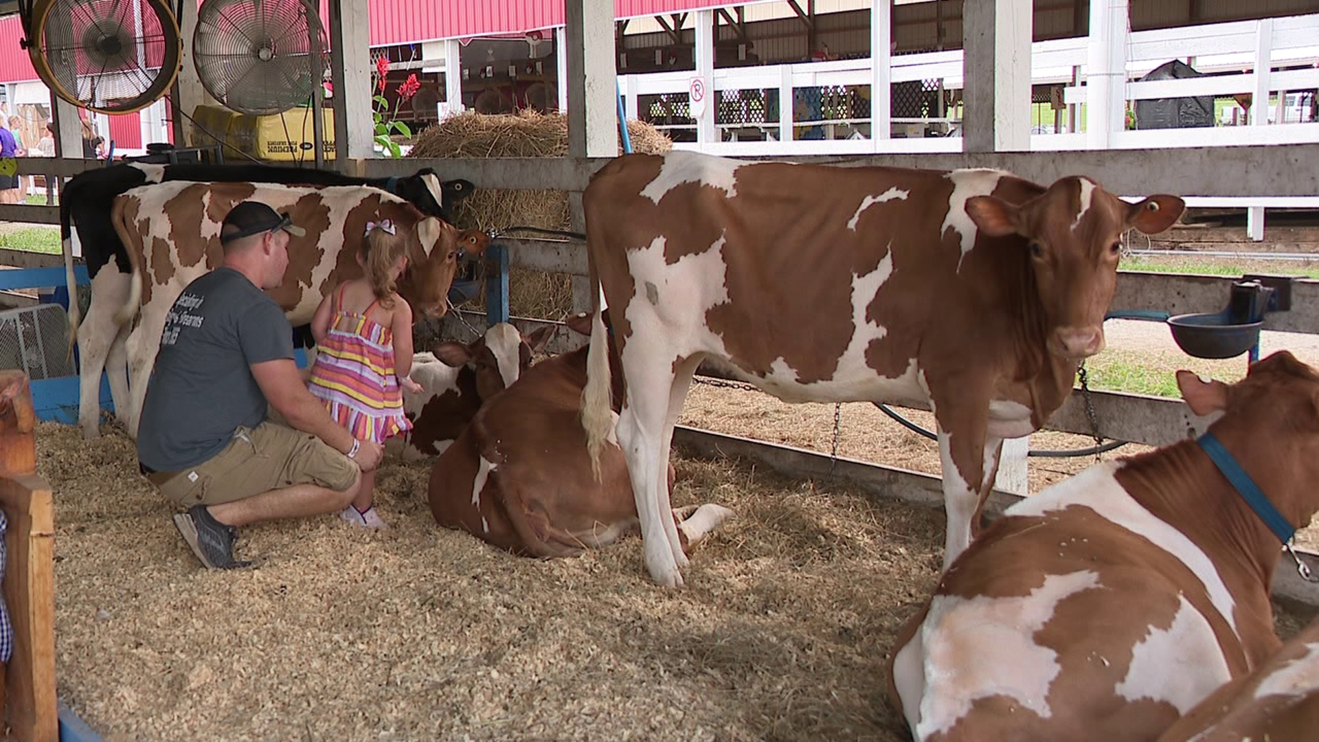 The fair is a significant fundraiser for the Meshoppen Fire Department. It's been around since the 1850s.