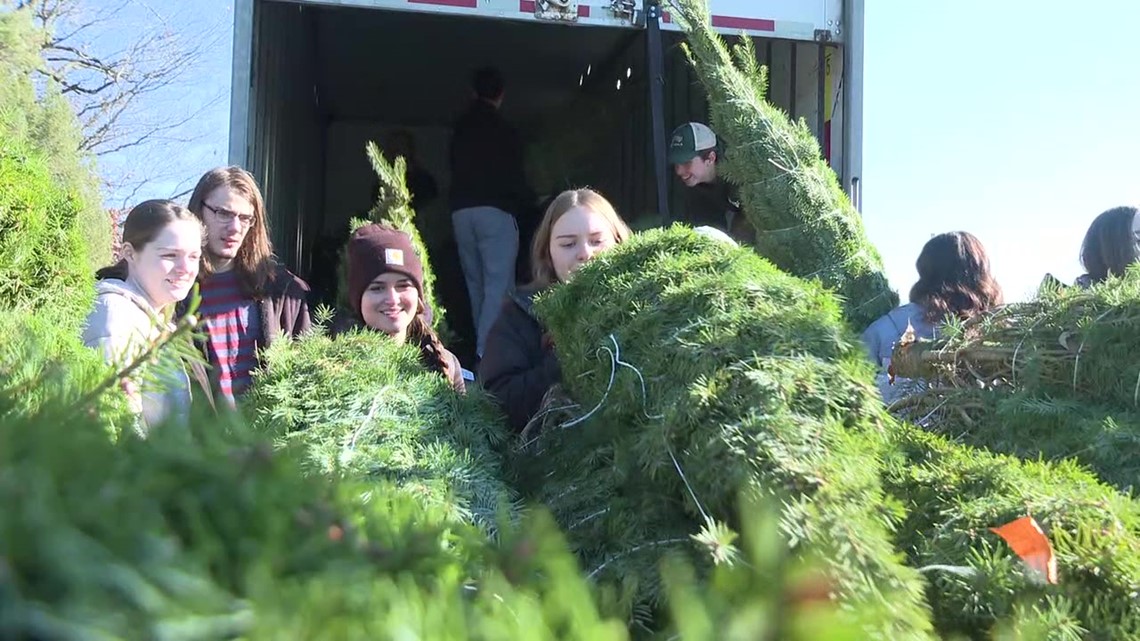 Trees for Troops in Carbon County - Vimarsana News